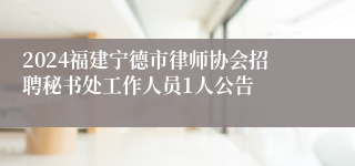 2024福建宁德市律师协会招聘秘书处工作人员1人公告