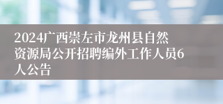 2024广西崇左市龙州县自然资源局公开招聘编外工作人员6人公告