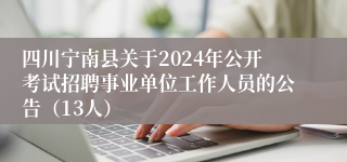 四川宁南县关于2024年公开考试招聘事业单位工作人员的公告（13人）