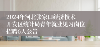 2024年河北张家口经济技术开发区统计局青年就业见习岗位招聘6人公告