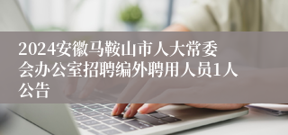 2024安徽马鞍山市人大常委会办公室招聘编外聘用人员1人公告