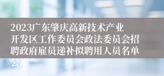 2023广东肇庆高新技术产业开发区工作委员会政法委员会招聘政府雇员递补拟聘用人员名单公示