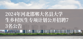 2024年河北邯郸大名县大学生乡村医生专项计划公开招聘73名公告
