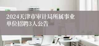2024天津市审计局所属事业单位招聘3人公告