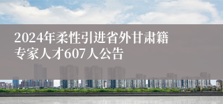 2024年柔性引进省外甘肃籍专家人才607人公告