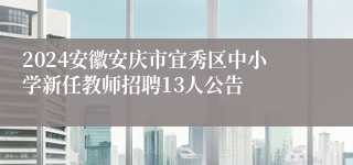 2024安徽安庆市宜秀区中小学新任教师招聘13人公告