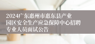 2024广东惠州市惠东县产业园区安全生产应急保障中心招聘专业人员面试公告