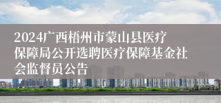 2024广西梧州市蒙山县医疗保障局公开选聘医疗保障基金社会监督员公告