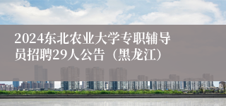 2024东北农业大学专职辅导员招聘29人公告（黑龙江）