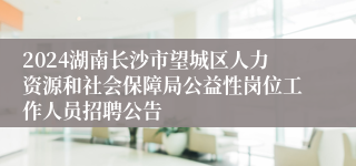 2024湖南长沙市望城区人力资源和社会保障局公益性岗位工作人员招聘公告