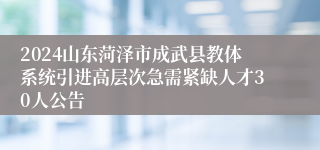 2024山东菏泽市成武县教体系统引进高层次急需紧缺人才30人公告