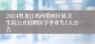 2024黑龙江鸡西梨树区镇卫生院公开招聘医学毕业生1人公告