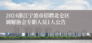 2024浙江宁波市招聘北仑区调解协会专职人员1人公告