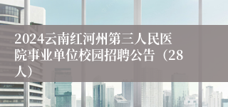 2024云南红河州第三人民医院事业单位校园招聘公告（28人）