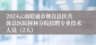 2024云南昭通市彝良县医共体总医院树林分院招聘专业技术人员（2人）