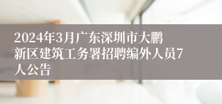 2024年3月广东深圳市大鹏新区建筑工务署招聘编外人员7人公告