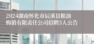 2024湖南怀化市辰溪县粮油购销有限责任公司招聘3人公告