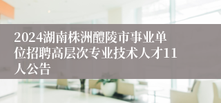 2024湖南株洲醴陵市事业单位招聘高层次专业技术人才11人公告