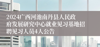 2024广西河池南丹县人民政府发展研究中心就业见习基地招聘见习人员4人公告