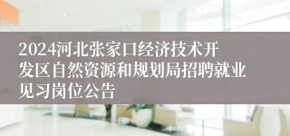 2024河北张家口经济技术开发区自然资源和规划局招聘就业见习岗位公告