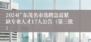 2024广东茂名市选聘急需紧缺专业人才17人公告（第三批）