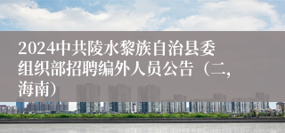 2024中共陵水黎族自治县委组织部招聘编外人员公告（二，海南）