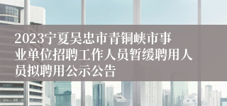 2023宁夏吴忠市青铜峡市事业单位招聘工作人员暂缓聘用人员拟聘用公示公告