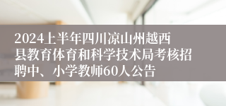 2024上半年四川凉山州越西县教育体育和科学技术局考核招聘中、小学教师60人公告