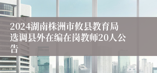 2024湖南株洲市攸县教育局选调县外在编在岗教师20人公告