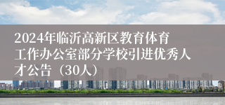 2024年临沂高新区教育体育工作办公室部分学校引进优秀人才公告（30人）