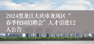 2024黑龙江大庆市龙凤区“春季校园招聘会”人才引进12人公告