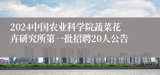2024中国农业科学院蔬菜花卉研究所第一批招聘20人公告
