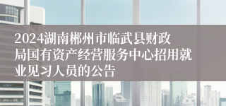 2024湖南郴州市临武县财政局国有资产经营服务中心招用就业见习人员的公告