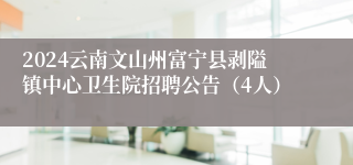2024云南文山州富宁县剥隘镇中心卫生院招聘公告（4人）