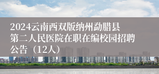 2024云南西双版纳州勐腊县第二人民医院在职在编校园招聘公告（12人）