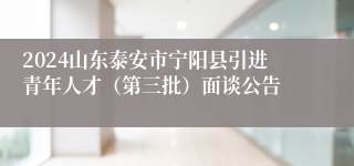 2024山东泰安市宁阳县引进青年人才（第三批）面谈公告
