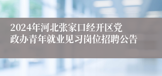 2024年河北张家口经开区党政办青年就业见习岗位招聘公告