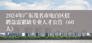 2024年广东茂名市电白区招聘急需紧缺专业人才公告（60人）