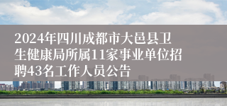 2024年四川成都市大邑县卫生健康局所属11家事业单位招聘43名工作人员公告