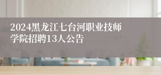 2024黑龙江七台河职业技师学院招聘13人公告