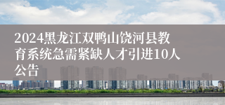 2024黑龙江双鸭山饶河县教育系统急需紧缺人才引进10人公告