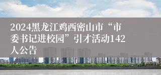 2024黑龙江鸡西密山市“市委书记进校园”引才活动142人公告