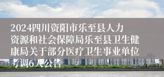 2024四川资阳市乐至县人力资源和社会保障局乐至县卫生健康局关于部分医疗卫生事业单位考调6人公告
