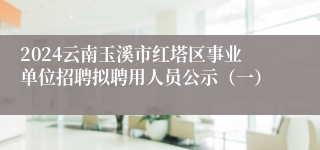 2024云南玉溪市红塔区事业单位招聘拟聘用人员公示（一）
