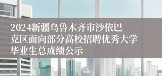 2024新疆乌鲁木齐市沙依巴克区面向部分高校招聘优秀大学毕业生总成绩公示