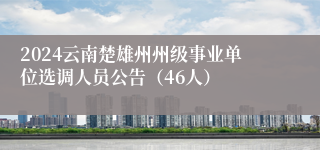 2024云南楚雄州州级事业单位选调人员公告（46人）