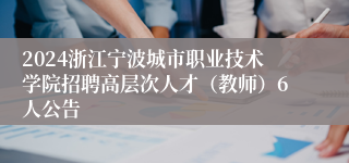 2024浙江宁波城市职业技术学院招聘高层次人才（教师）6人公告