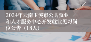2024年云南玉溪市公共就业和人才服务中心开发就业见习岗位公告（18人）