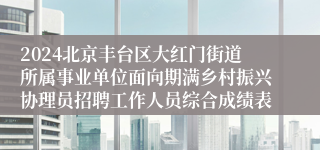 2024北京丰台区大红门街道所属事业单位面向期满乡村振兴协理员招聘工作人员综合成绩表
