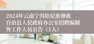 2024年云南宁洱哈尼族彝族自治县人民政府办公室招聘编制外工作人员公告（1人）